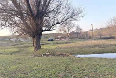 Casă cu 4 camere cu Teren 6294 Mp în Cerbu - 2