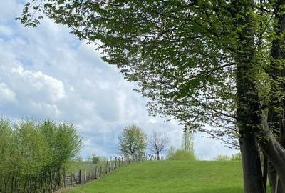 Teren intravilan 1200 mp – utilități la poartă, zonă exclusivistă Sibiel - 4