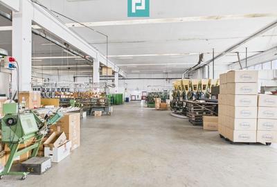 Hală de producție, cu birouri și teren, în Sebiș - 16