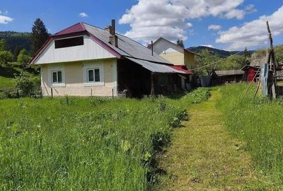 Casă cu Teren 3344 Mp în Dreptu - 4