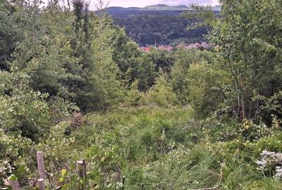 Teren intravilan de 12.147 m² de vânzare în Sovata, pe strada Răchitei - 6