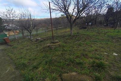 Teren intravilan 750mp Bucium - Trecatoarea Paun - 3