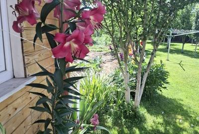 Casa de vanzare in exclusivitate | Avrig - 21