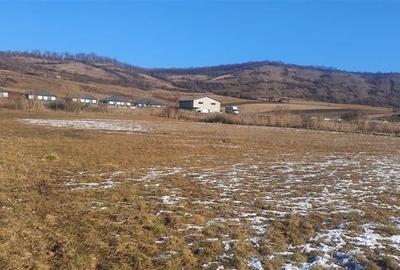 Teren Ivanesti-Livezeni 4300 mp - 6