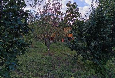 Casă cu 3 camere în Beceni - 5