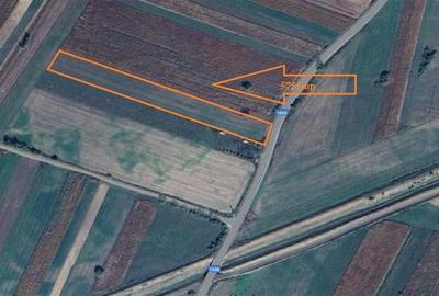 Teren extravilan 5755 mp la 25 km de Brasov in Dobarlau Teren extravilan 5755 mp la 25 km de Brasov in Dobarlau - 2