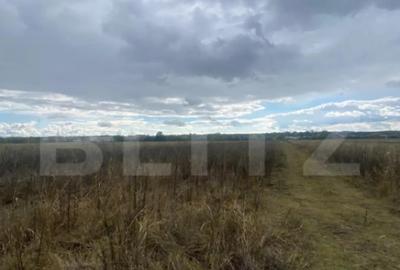 Teren de 2500 mp, în Central