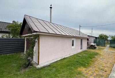 Casă cu Teren 5500 Mp în Bălteni - 2