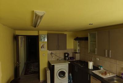 Casă cu 3 camere cu Teren 3500 Mp în Satu Mare - 7