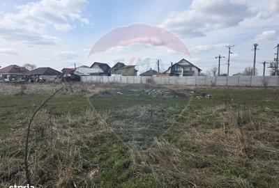 Spațiu comercial, în Balotești - 3