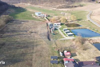 Spațiu comercial, în Laslea - 11