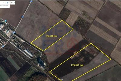 Teren agricol intravilan de 71300 mp, în Ciocănești - 1