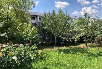 Teren Bragadiru - Crisul Repede Teren Bragadiru - Crisul Repede - 5