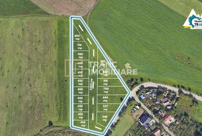 Teren Construcții intravilan de 11500 mp, în Sânnicolau Mic - 1