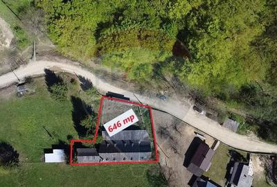 Casa de vancata Bucsoaia - 16