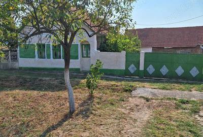 Casă cu 3 camere în Brestovăț - 2