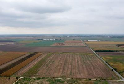 Teren extravilan 5 hectare ( zonă industrială ) Șag - 8