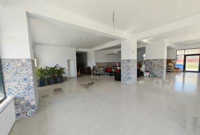 Spațiu comercial, de 288 mp, în Sud - 17