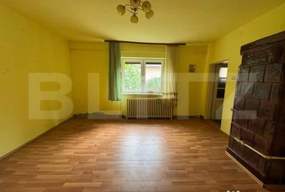 Casă cu 5 camere cu Teren 3000 Mp în Horea - 1