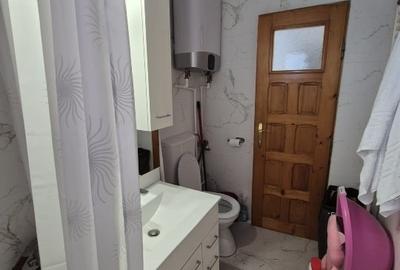 Apartament cu 3 camere semidecomandat, mobilat în Brazda lui Novac - 3