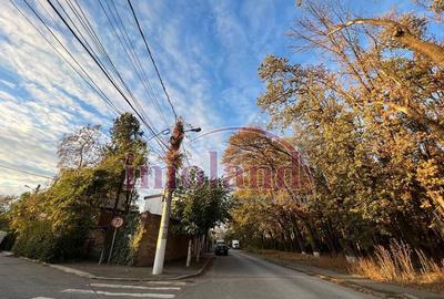 Teren intravilan - vanzare - Colentina - Padurea Andronache - 4