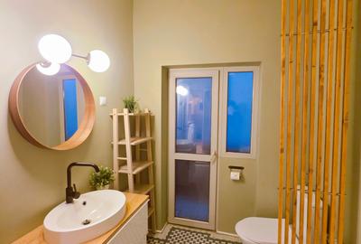 Garsoniera Pache et 1/3 centrala proprie - 20