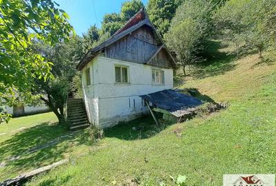 Casa de vanzare in zona Vintu cu 10.790 mp teren Casa de vanzare in zona Vintu cu 10.790 mp teren - 8