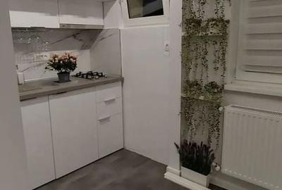 Garsonieră renovată, boiler, etaj 9, metrou 1 Decembrie 1918 - 8