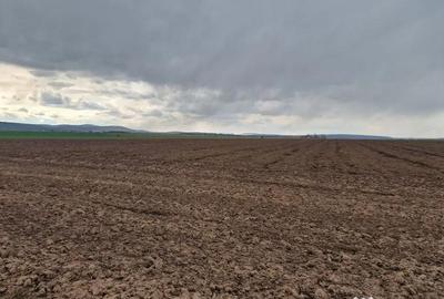 Teren de 10000 mp, în Vest - 6