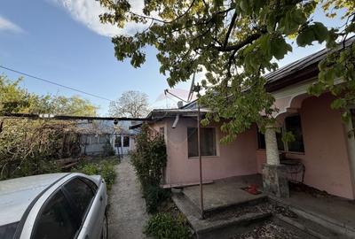 Casă individuală cu 5 camere cu Teren 3818 Mp în Țifești - 1