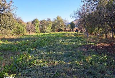 Casă cu 3 camere în Bârsa - 7