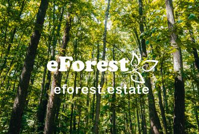 Loturi de vanzare, ce mai mic pret din zona! - 9