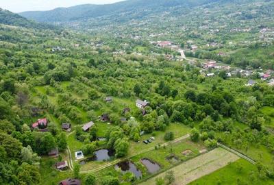 Cabana Bradulet s-a VANDUT - 8