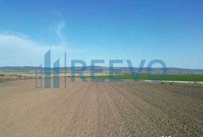 Teren de 1800 mp, în Nicolae Bălcescu - 11