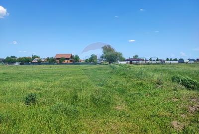 Teren Intravilan 4,007 mp Fughiu, Baraj, Crisu Repede, Vanzare - 5