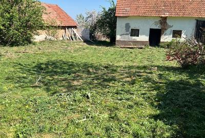 Casă cu 2 camere cu Teren 3800 Mp în Nucșoara - 6