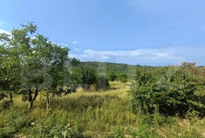 Teren de 1252 mp, în Central - 2