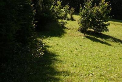 Casă cu 6 camere în Câmpeni - 1