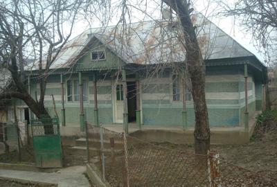 Casă cu 3 camere cu Teren 1500 Mp în Fundoaia - 2