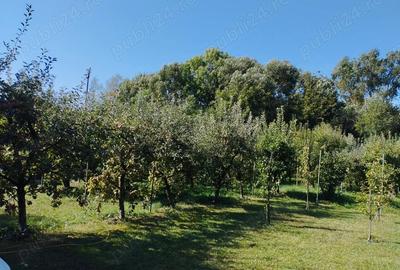 Breaza, teren 1705 mp sau lotizat, zona insorita - 2