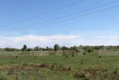 Teren, 5453 mp, zona Suta Seaca - 1