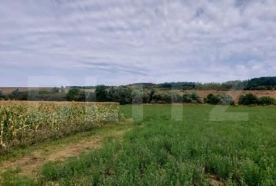 De vanzare teren Fundatura 27500mp - intravilan - 3