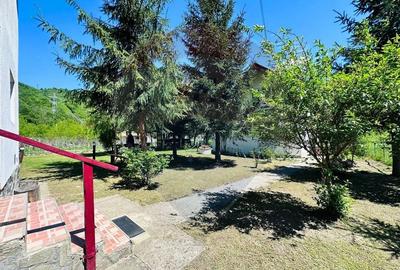 Pensiune + Vila pe malul raului Lotru-Malaia,Valcea - 25