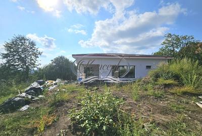 Casa individuala in apropiere de Padure - 3