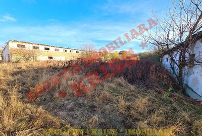 TEREN 21579 Mp. Curs Construc?ii + 4 Anexe La 35 Km Pite?ti - Buzoe?ti Stradal Ferma - 10