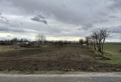 Spațiu comercial, în Malu - 3