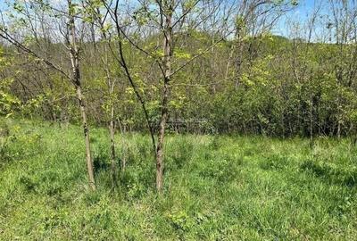 Teren de 5300 mp, în Lugoj - 2