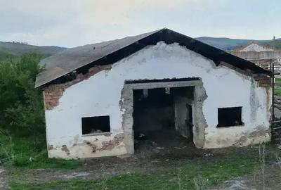 Teren de 15000 mp, în Cămărașu - 6
