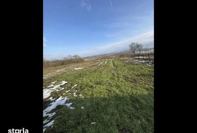 Casă cu 3 camere cu Teren 3400 Mp în Sâncel - 5