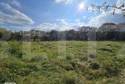 Teren de 1200 mp, în Ciurila